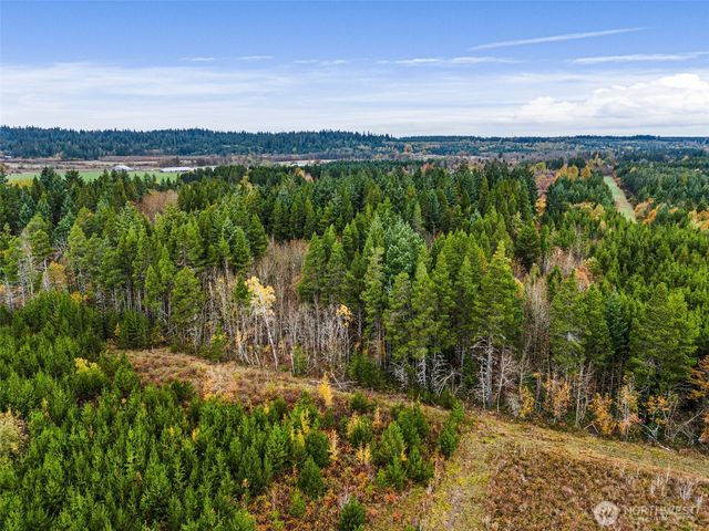 0 X Oyler Road, Toledo, WA 98591