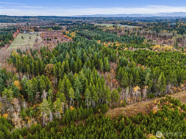 0 X Oyler Road, Toledo, WA 98591
