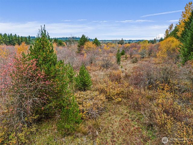 0 X Oyler Road, Toledo, WA 98591