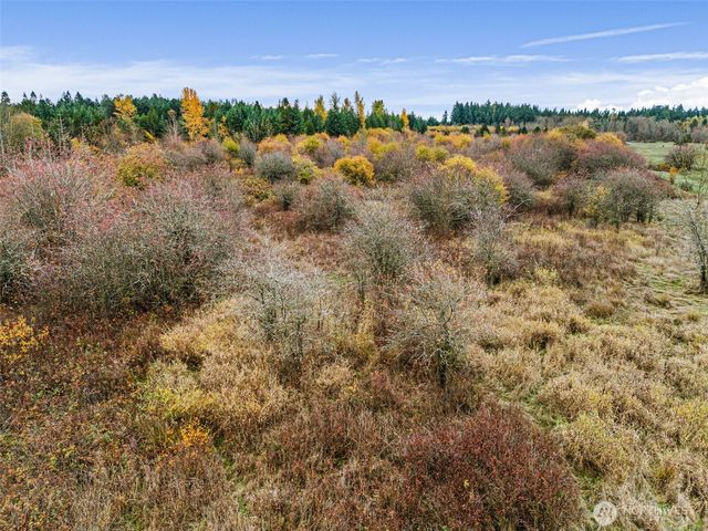 0 X Oyler Road, Toledo, WA 98591