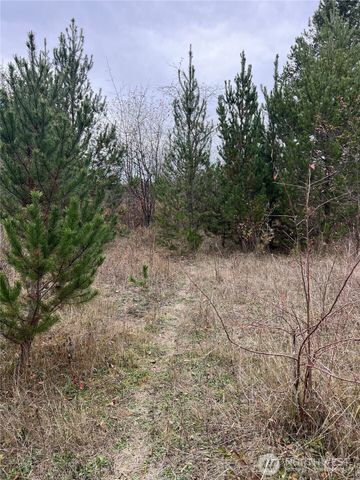 0 X Oyler Road, Toledo, WA 98591