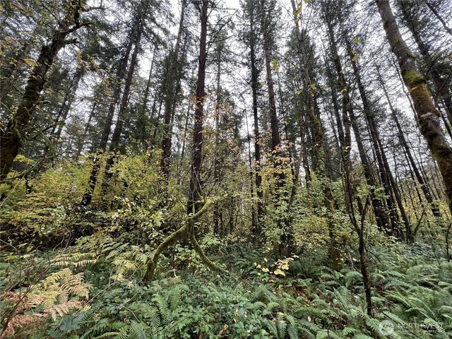 0 X Oyler Road, Toledo, WA 98591