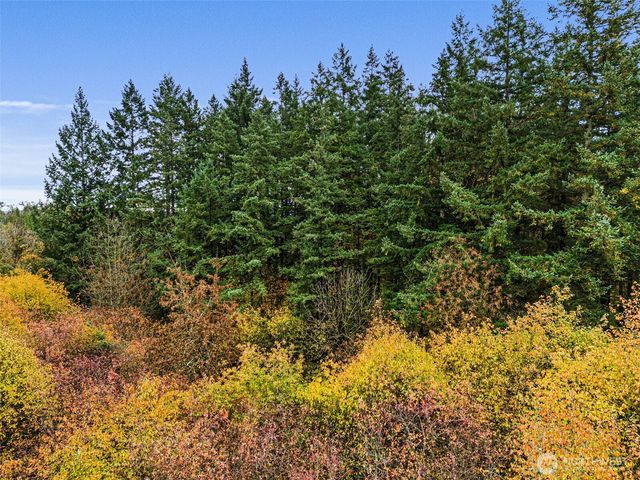 0 X Oyler Road, Toledo, WA 98591