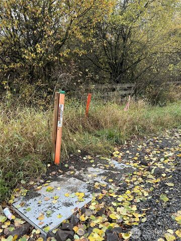 0 X Oyler Road, Toledo, WA 98591