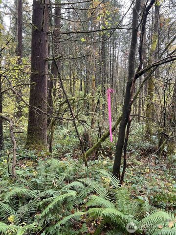 0 X Oyler Road, Toledo, WA 98591