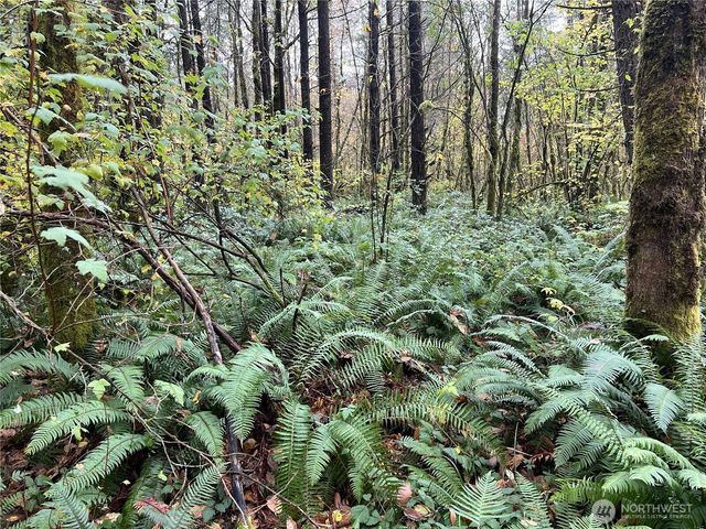 0 X Oyler Road, Toledo, WA 98591