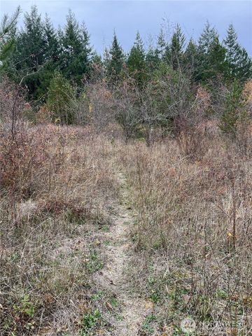 0 X Oyler Road, Toledo, WA 98591