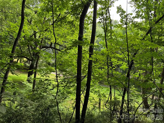 LT 18 Silverbell Lane 18, Waynesville, NC 28786
