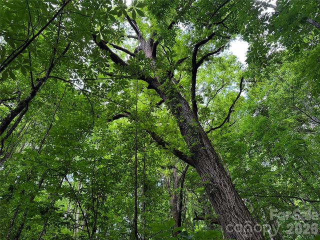 LT 18 Silverbell Lane 18, Waynesville, NC 28786