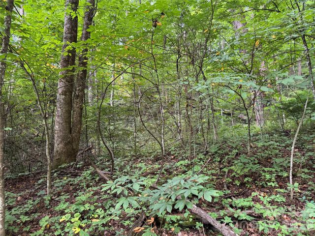 LT 18 Silverbell Lane 18, Waynesville, NC 28786