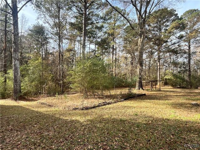 303 MLK, Livingston, AL 35470