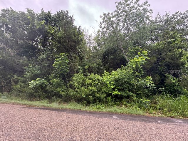 2815 E Briarwood Street, Granbury, TX 76048