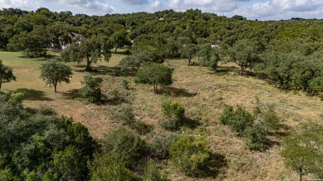 225 SHADY HOLW, New Braunfels, TX 78132