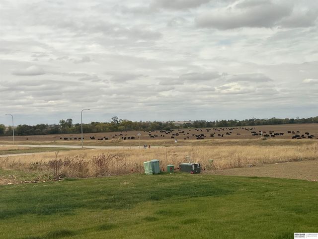 1007 Bluejay Circle, Ashland, NE 68003