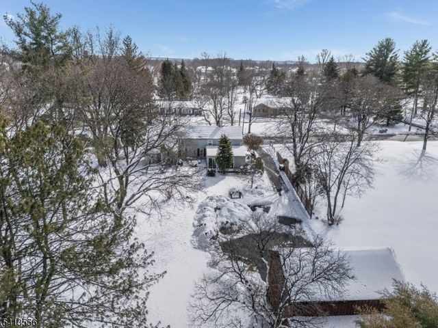 40 Sergeantsville Rd, Raritan Twp., NJ 08822