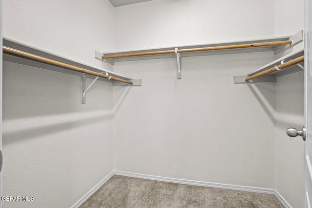 11836 MESQUITE BUSH Drive, El Paso, TX 79934