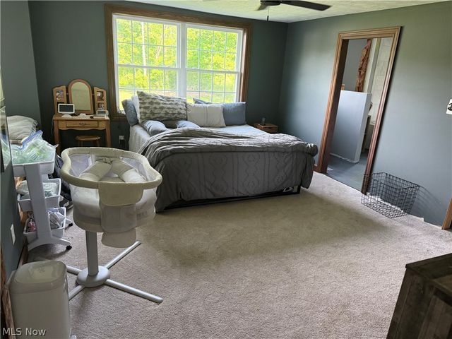 13166 Butternut Road, Burton, OH 44021