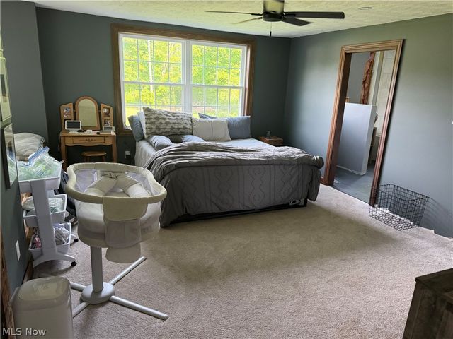 13166 Butternut Road, Burton, OH 44021