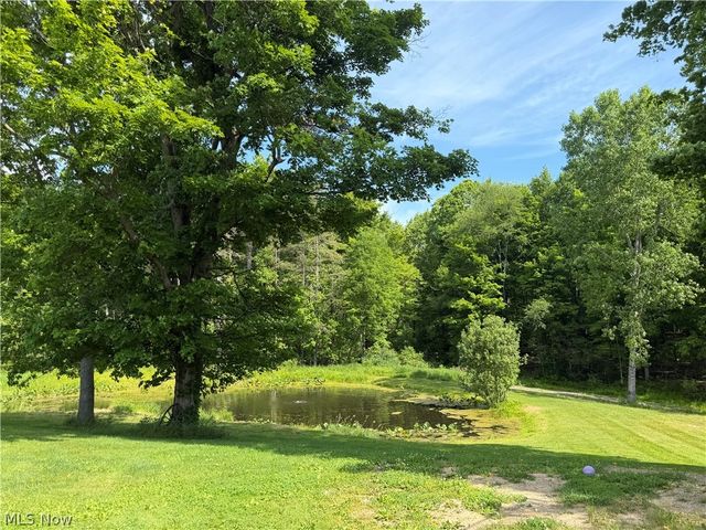 13166 Butternut Road, Burton, OH 44021