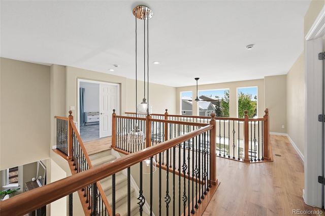 8262 Dressage Road, Littleton, CO 80125