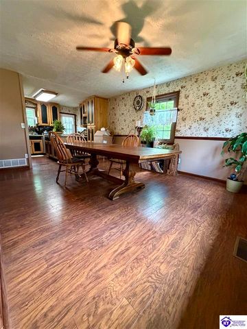 126 Creekview Lane, Rineyville, KY 40162