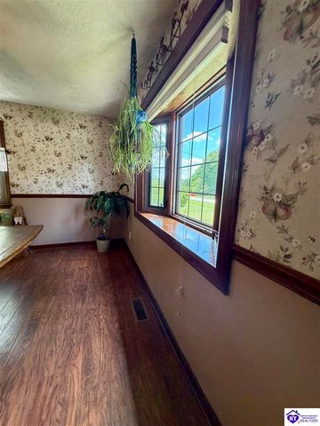 126 Creekview Lane, Rineyville, KY 40162