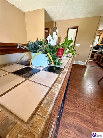 126 Creekview Lane, Rineyville, KY 40162