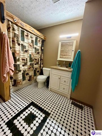 126 Creekview Lane, Rineyville, KY 40162