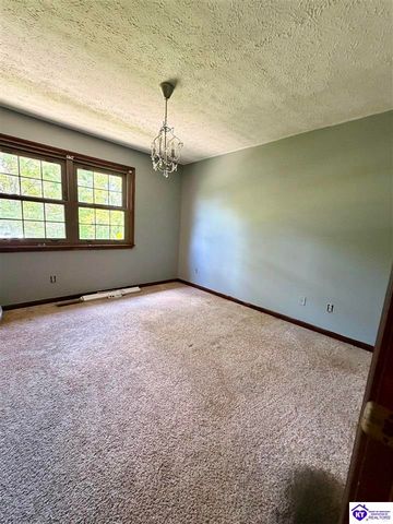 126 Creekview Lane, Rineyville, KY 40162