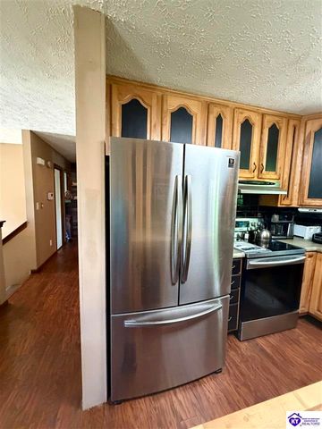 126 Creekview Lane, Rineyville, KY 40162