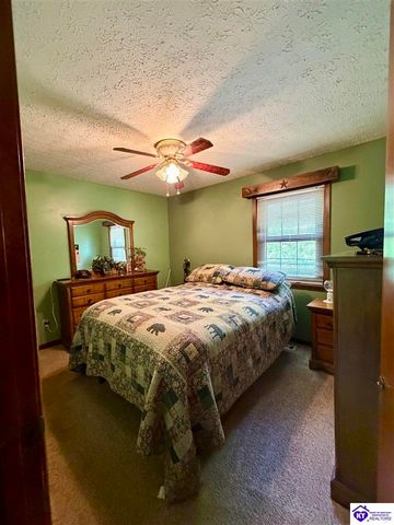 126 Creekview Lane, Rineyville, KY 40162