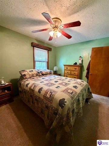 126 Creekview Lane, Rineyville, KY 40162