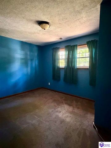 126 Creekview Lane, Rineyville, KY 40162