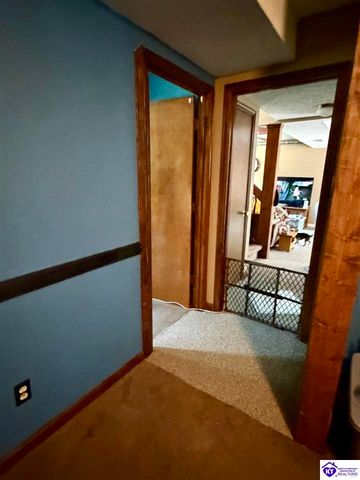 126 Creekview Lane, Rineyville, KY 40162