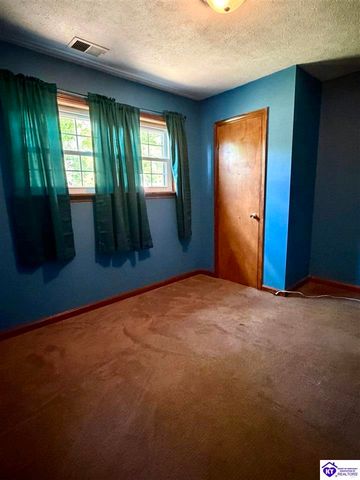 126 Creekview Lane, Rineyville, KY 40162