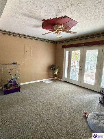 126 Creekview Lane, Rineyville, KY 40162