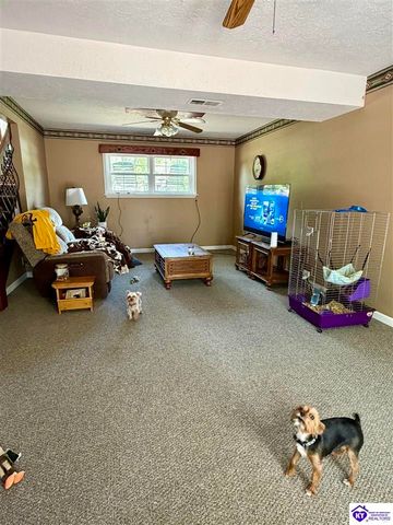 126 Creekview Lane, Rineyville, KY 40162