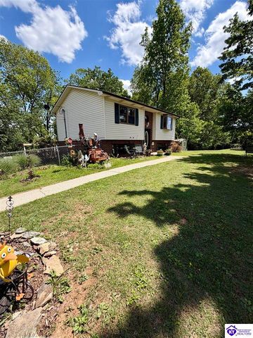 126 Creekview Lane, Rineyville, KY 40162