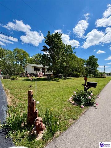126 Creekview Lane, Rineyville, KY 40162