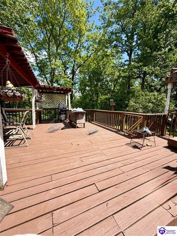 126 Creekview Lane, Rineyville, KY 40162