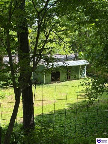 126 Creekview Lane, Rineyville, KY 40162