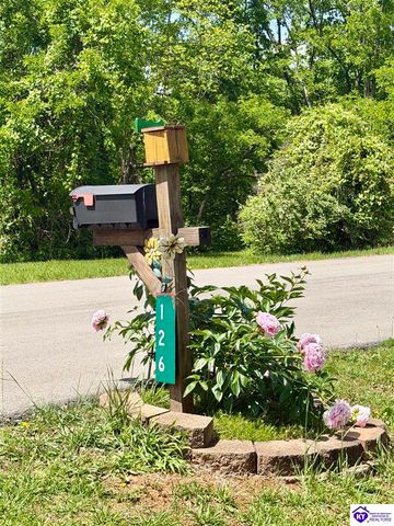 126 Creekview Lane, Rineyville, KY 40162
