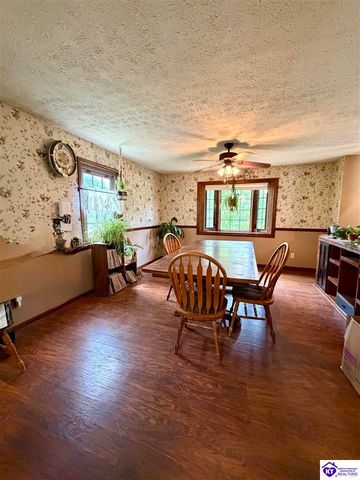 126 Creekview Lane, Rineyville, KY 40162