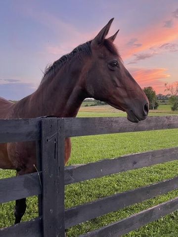 103 Hidden Meadow Lane, Nicholasville, KY 40356