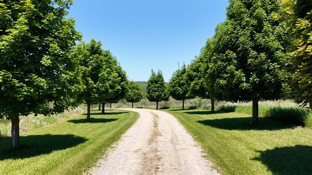 17274 Wilson Road, Big Rapids, MI 49307