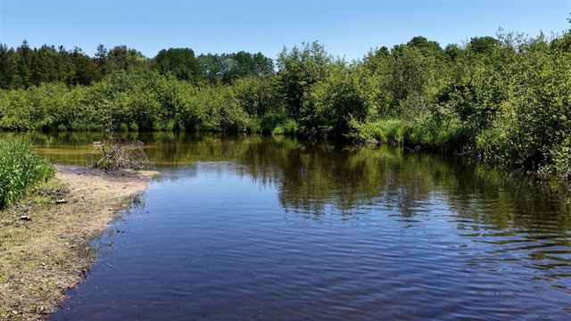 17274 Wilson Road, Big Rapids, MI 49307