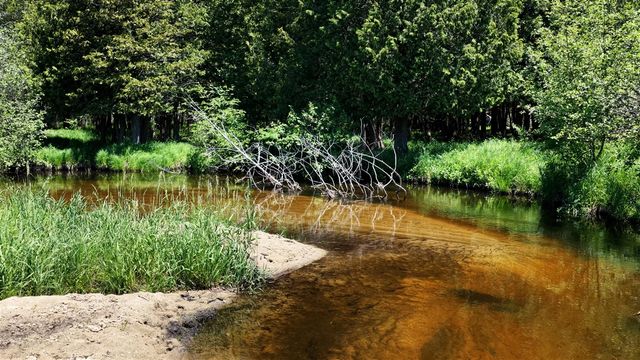 17274 Wilson Road, Big Rapids, MI 49307