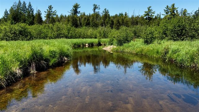 17274 Wilson Road, Big Rapids, MI 49307