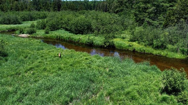 17274 Wilson Road, Big Rapids, MI 49307