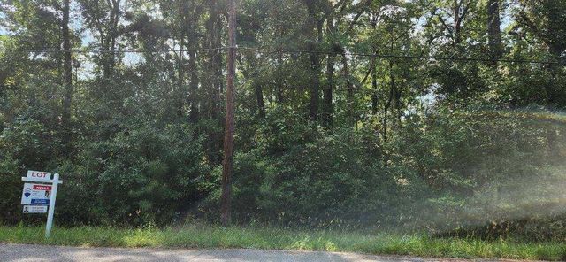 15218 Daniel Street, Magnolia, TX 77354